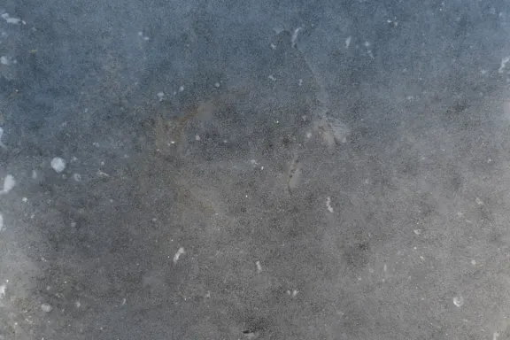 Casino Coins Game Soporte